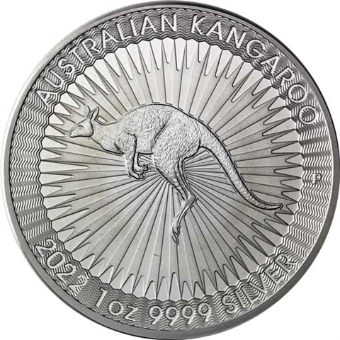 25-Unzen-Silber-Australien-Kanguru-in-Tube-2022