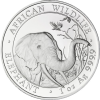 Somalie 100 Shillings 2018 Stgl. Elefant 1