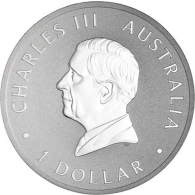 Australien-1Dollar-2025-Silber -1oz-Koala-VS