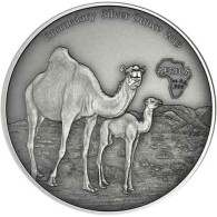 Kamerun 1 Oz Silber 2019 Dromedare