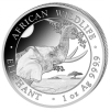 Somalia-100Shilling-2023-AGstgl-Elefant-RS