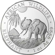 Somalia-100-Shillings-2017-Stgl.-Elefant-1