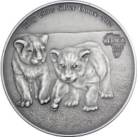 Kongo 1 Oz Silber 2012 Baby Löwen 