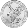 USA-1Dollar-2025-AgStgl-1-Oz-Silbermünze-American-Silver-Eagle-VS