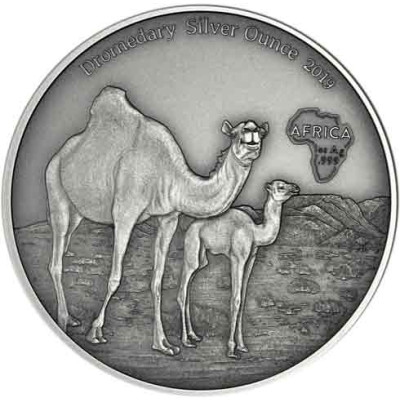 Kamerun 1 Oz Silber 2019 Dromedare